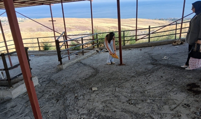 Ahlat’ta köpeklerin öldürüldüğü yönündeki haberlere tepki