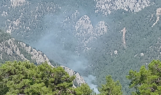 Antalya'da korkutan yangın