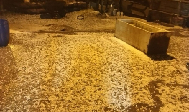 Ardahan'da sağanak yağış sele neden oldu