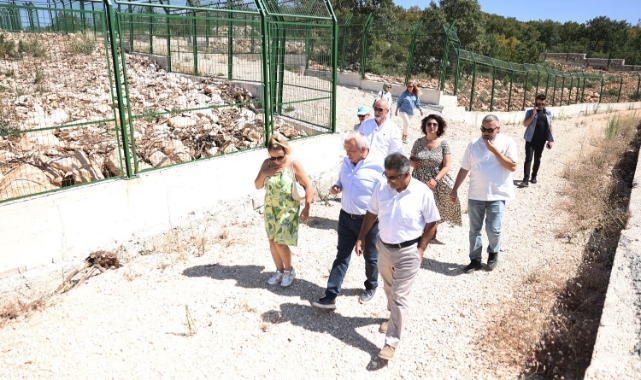 Başkan Şadi Özdemir, sokak hayvanları için hazırlanan projeyi inceledi