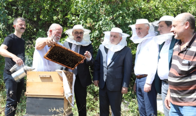 Başkan Taban açıkladı! Hedef 70 ton rekolte...