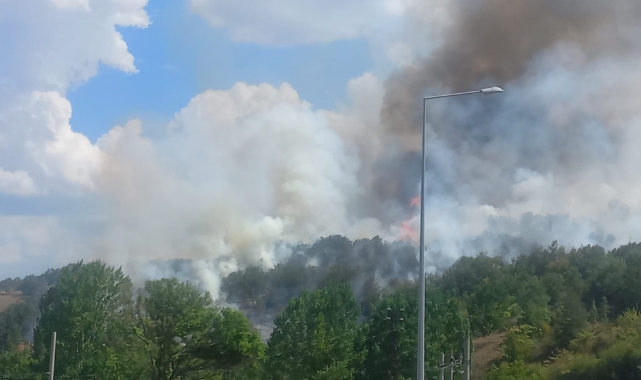 Bilecik'teki yangın bölgesinde soğutma çalışmaları sürüyor