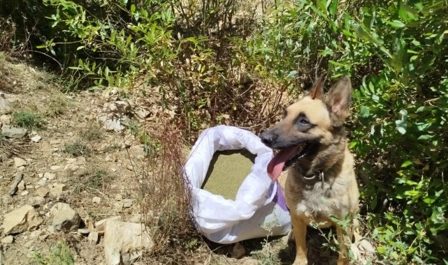 Bingöl’de 8 kiloya yakın uyuşturucu madde ele geçirildi!