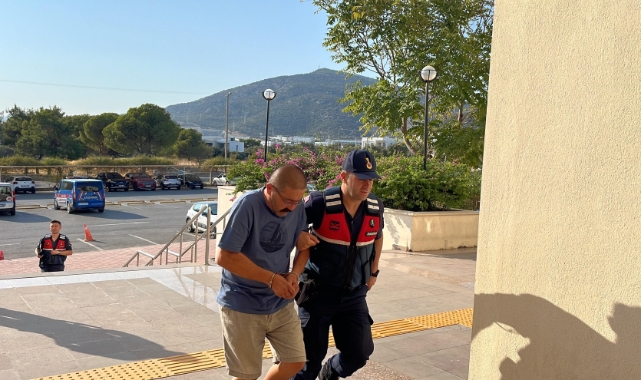 Bodrum'da köpeğin tüfekle vurulduğu iddiası