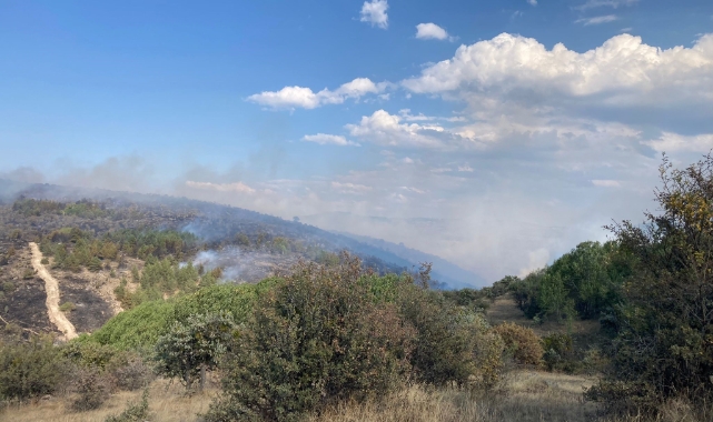 Bolu'da devam eden yangın Ankara istikametine yöneldi!