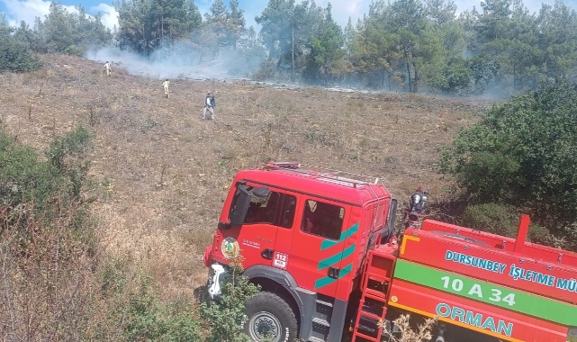 Bursa'da peş peşe çıkan yangınlar kontrol altına alındı