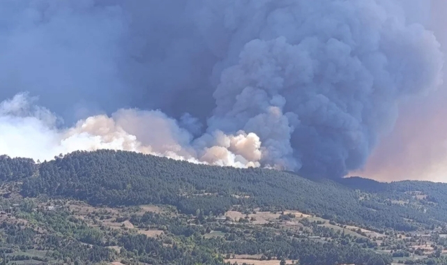 Çanakkale, Bolu ve Manisa'da orman yangını!