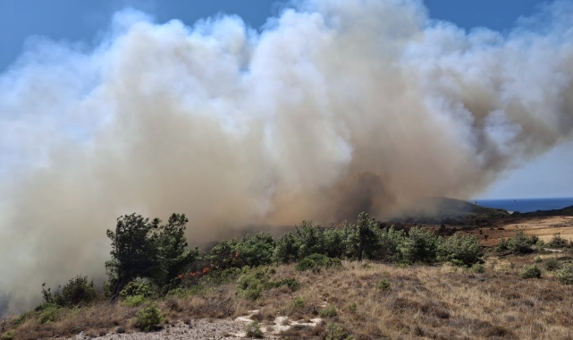 Çanakkale Bozcaada'da ziraat alanında yangın
