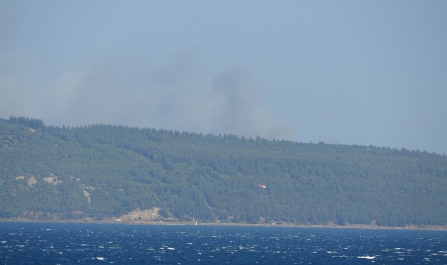 Çanakkale’de orman yangını!