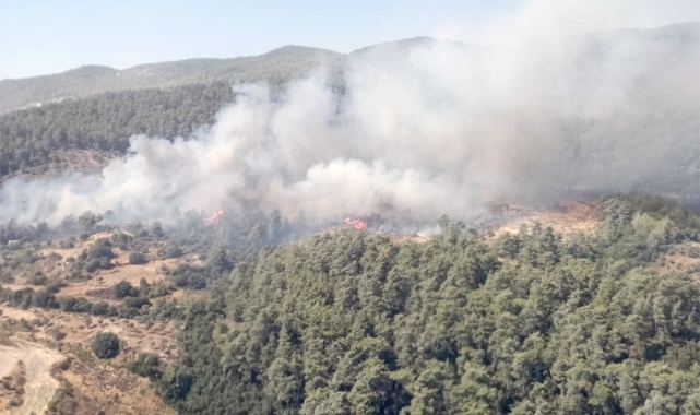 Ciğerlerimiz yanıyor: Muğla'da orman yangını!