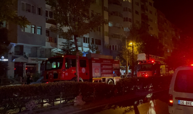 Çıkan yangında dairede bulunan 2 kedi tüm çabalara rağmen kurtarılamadı