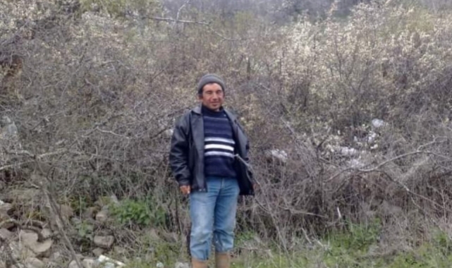 Dananın saldırdığı adam ağır yaralandı
