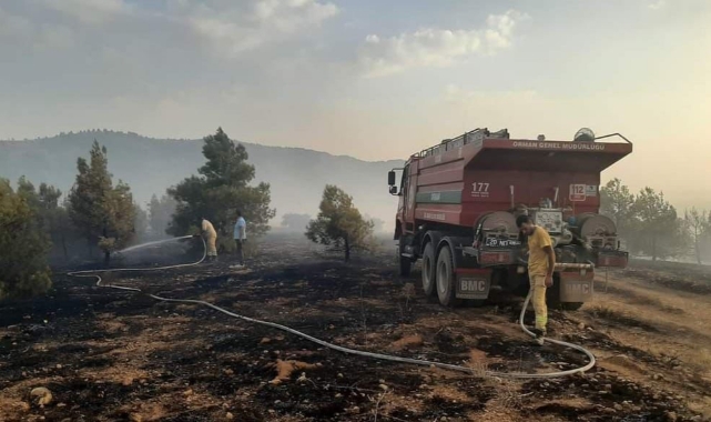 Denizli’de orman yangınına müdahale ediliyor