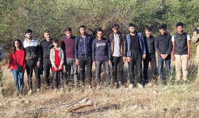 Edirne'de 48 kaçak göçmen yakalandı
