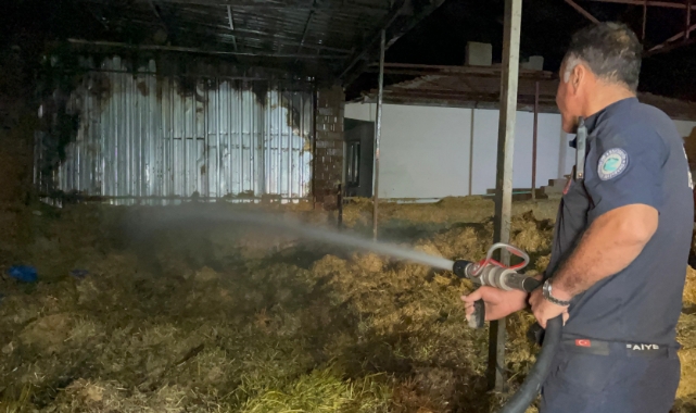 Eskişehir'de samanlık yangını: 2 bin balya saman ve 1 traktör küle döndü