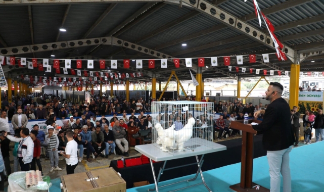 İnegöl'deki Küçükbaş Hayvancılık Festivali için geri sayım başladı