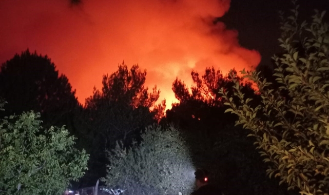 İzmir'de korkutan orman yangını
