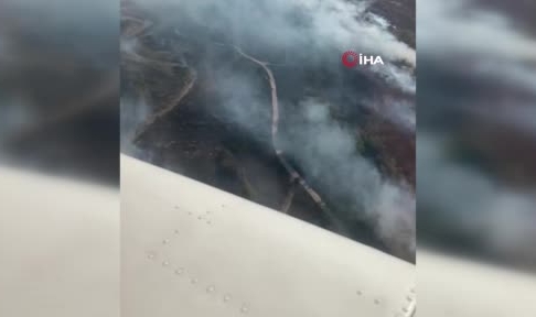 İzmir Menderes'te orman yangını çıktı