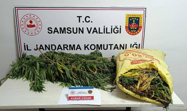 Jandarmaya 12 kilo esrarla yakalanan kadın tutuklandı!