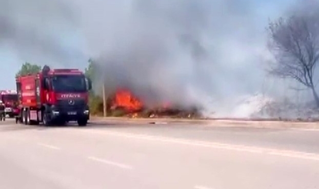 Kocaeli'de korkutan yangın