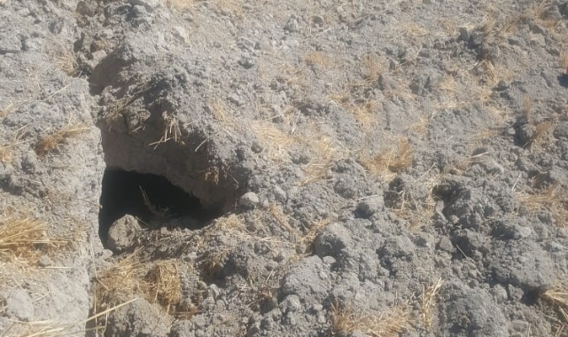 Konya'da yeni obruk oluştu