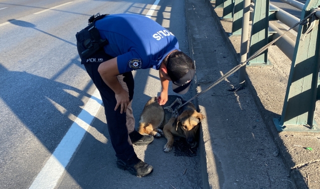 Köpeğin yardımına polis yetişti