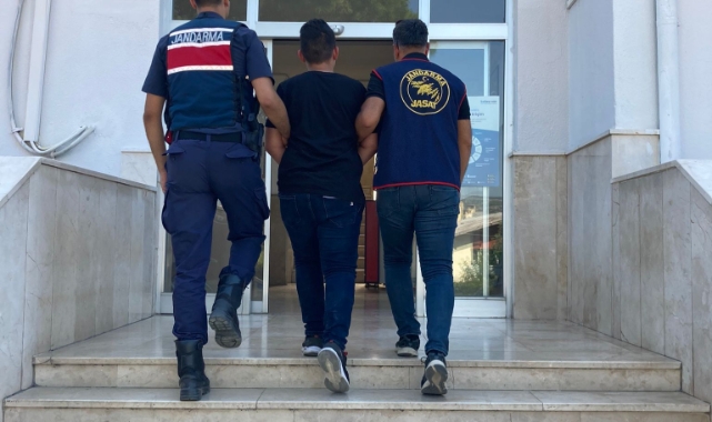 Koyunları çalıp sattı, parasını eğlence mekanında yedi
