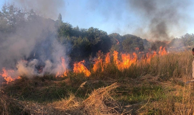 Malatya'da 4 ayrı noktada anız ve orman yangını!