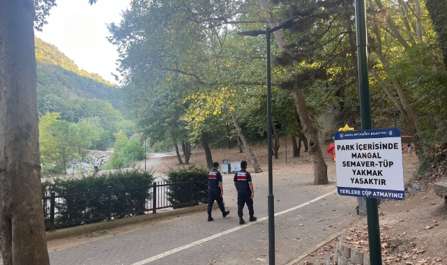 Mangal yakanlara ceza yağıyor