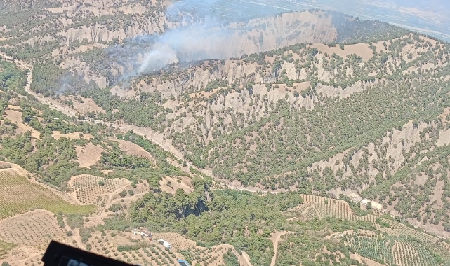 Manisa’daki orman yangınına geniş çaplı müdahale
