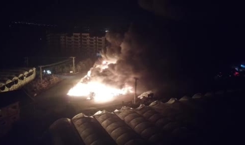 Mersin’de limon paketleme tesisinde yangın