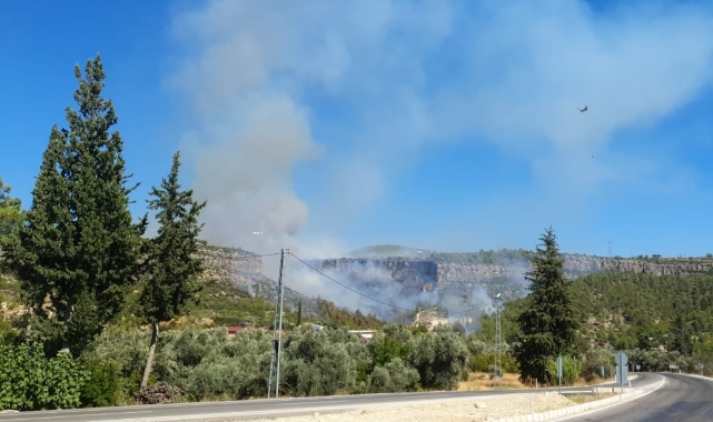 Mersin'de orman yangını