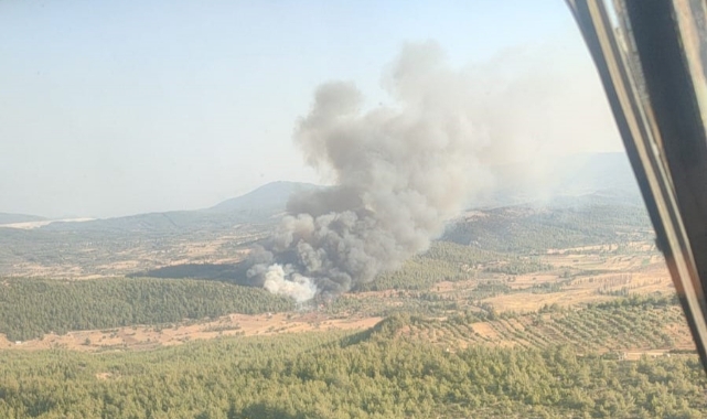 Muğla'da korkutan yangın