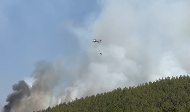 Muğla'daki yangınlara 20 hava aracıyla müdahale ediliyor