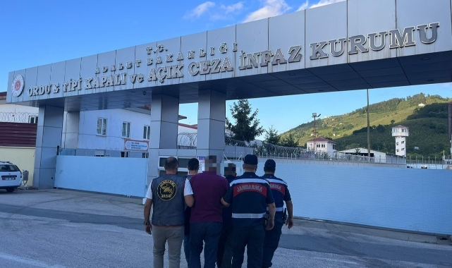 Ordu’da yasadışı kenevir ekimi yapan 2 kişi tutuklandı