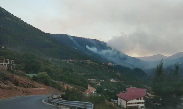 Ormanlık alandaki yangın turistik köye yaklaşıyor!
