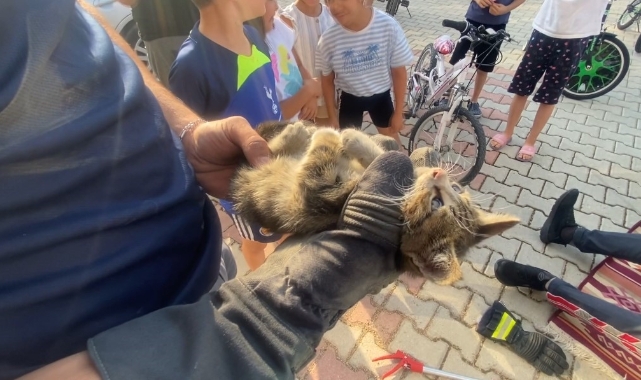 Otomobilin motoruna giren yavru kedi kurtarıldı