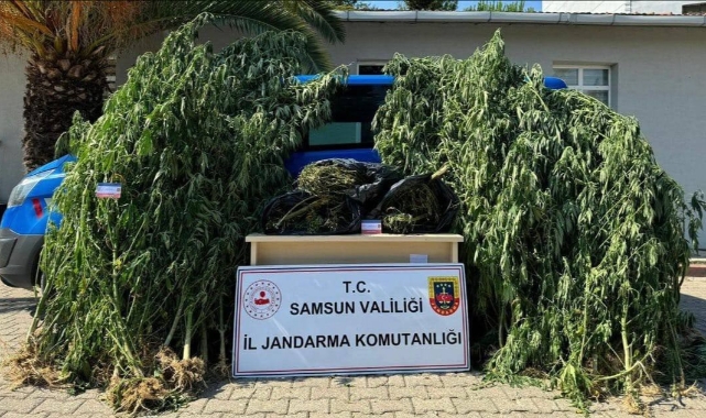 Polis ve jandarma suçluların ensesinde