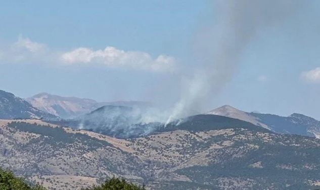 Tunceli ve Manisa’da orman yangını
