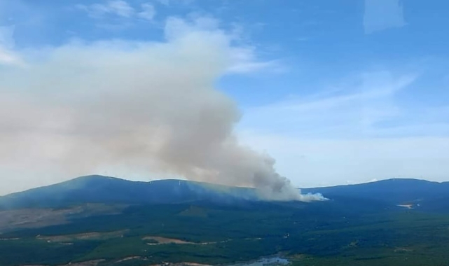 Yalova'da korkutan orman yangını