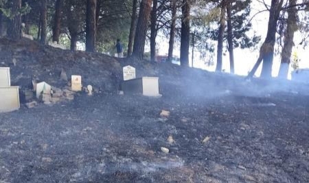 Yalova’da mezarlık yangını!