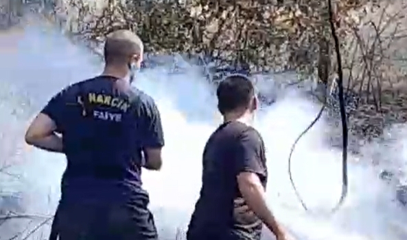Yalova’da zeytinlik alanda yangın
