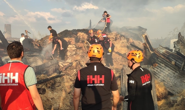 Yangında 14 büyükbaş hayvan telef oldu