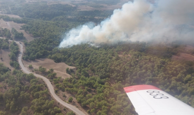 Adana'da çıkan orman yangını kontrol altına alındı