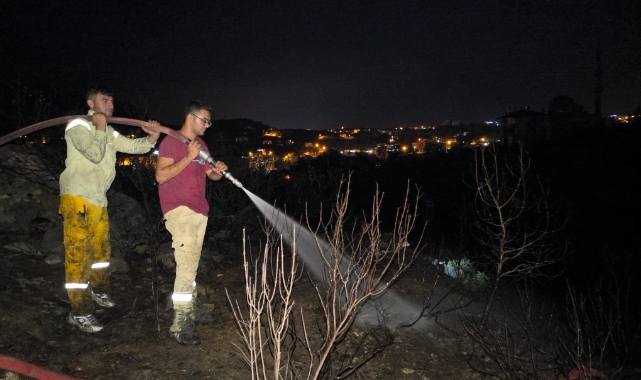 Alanya'da elektrik tellerinden çıkan makilik yangını söndürüldü