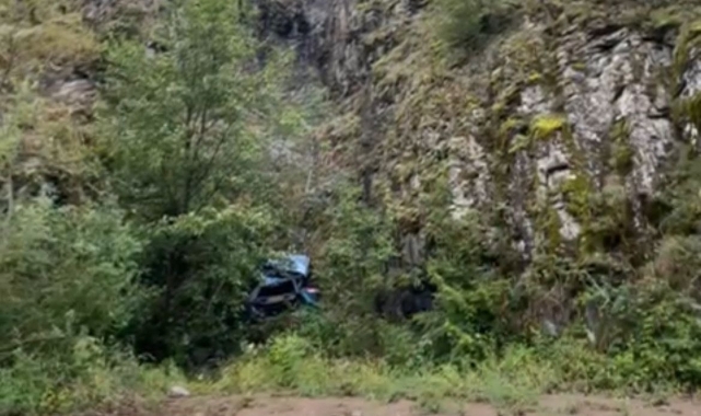 Artvin'in Borçka ilçesinde otomobil uçurumdan yuvarlandı: 1 ölü