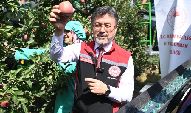 Bakan Yumaklı, Karaman’da Elma Hasadına Katıldı