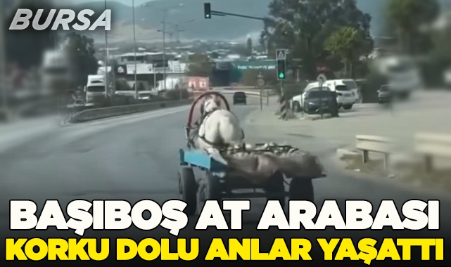 Başıboş at arabasının tehlikeli anlar yaşattı