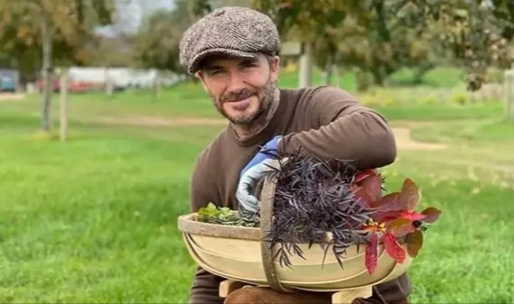 Beckham'ın yeni işi görenleri şaşkına çevirdi