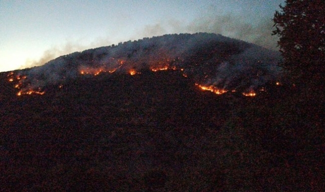 Bitlis'teki orman yangınları kontrol altına alındı